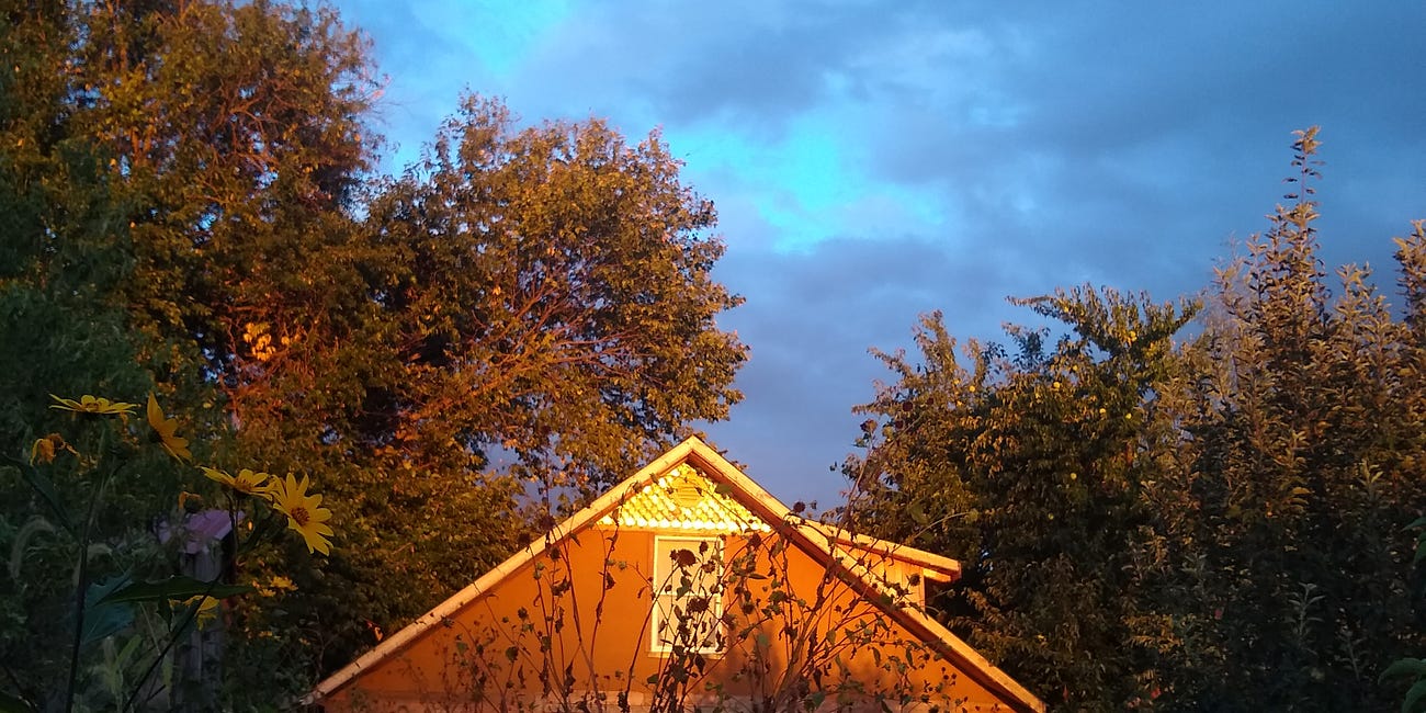 American Hedgerow (Part I)