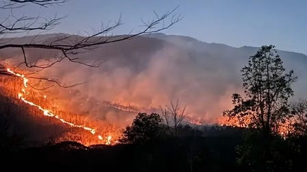 chiangmaifire2.jpg