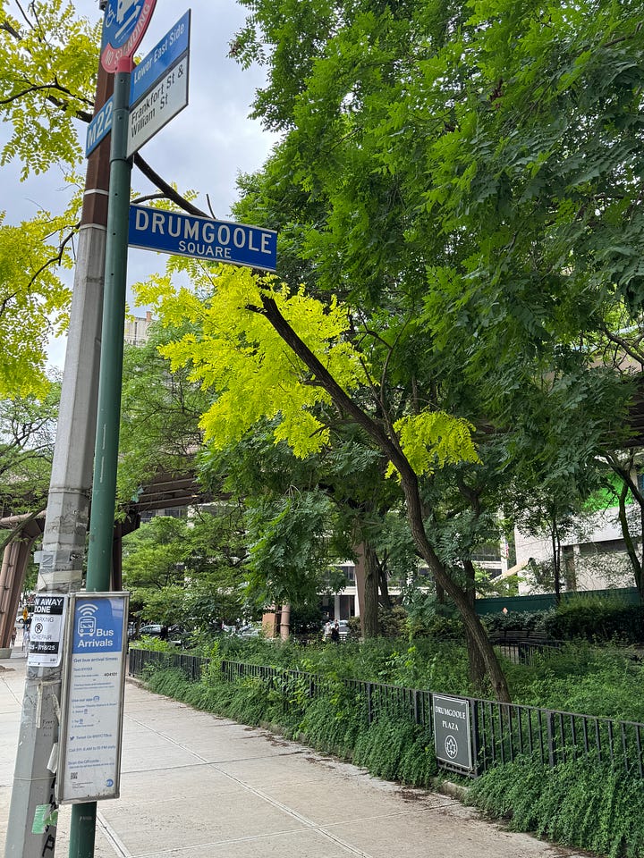 Photos of Drumgoole Square and Drumgoole Plaza in the springtime