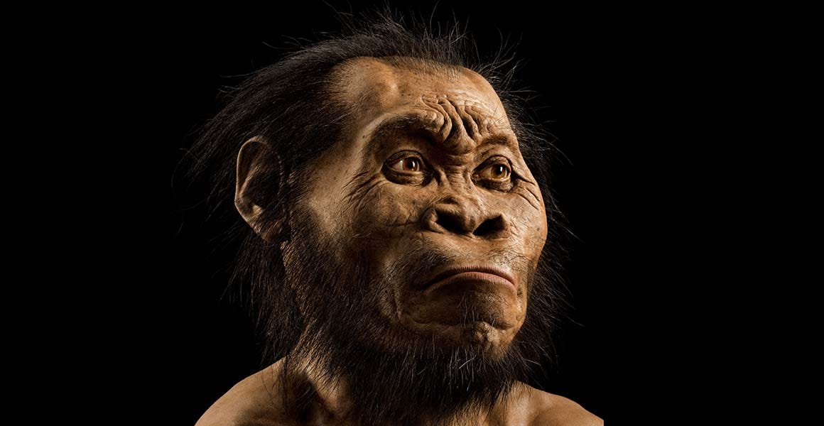Three Different Human Species Were Living Side by Side, and Nobody Told the Textbooks