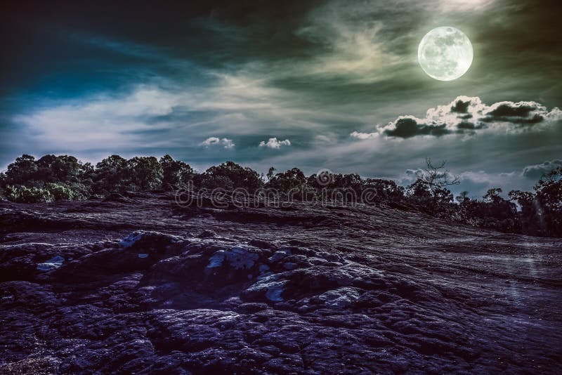 Landscape of Night Sky with Many Stars Above Wilderness. Vintage Stock ...