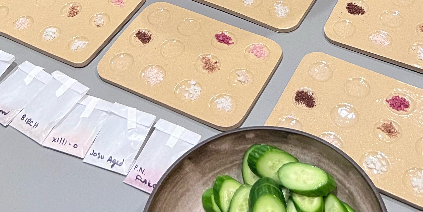 salt tasting set up with ceramic trays and veggies