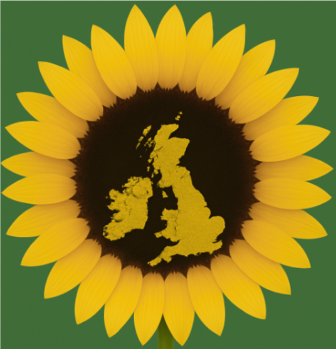 A sunflower with a map of the united kingdom

AI-generated content may be incorrect.