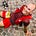 Avatar di Tommaso Meneghin