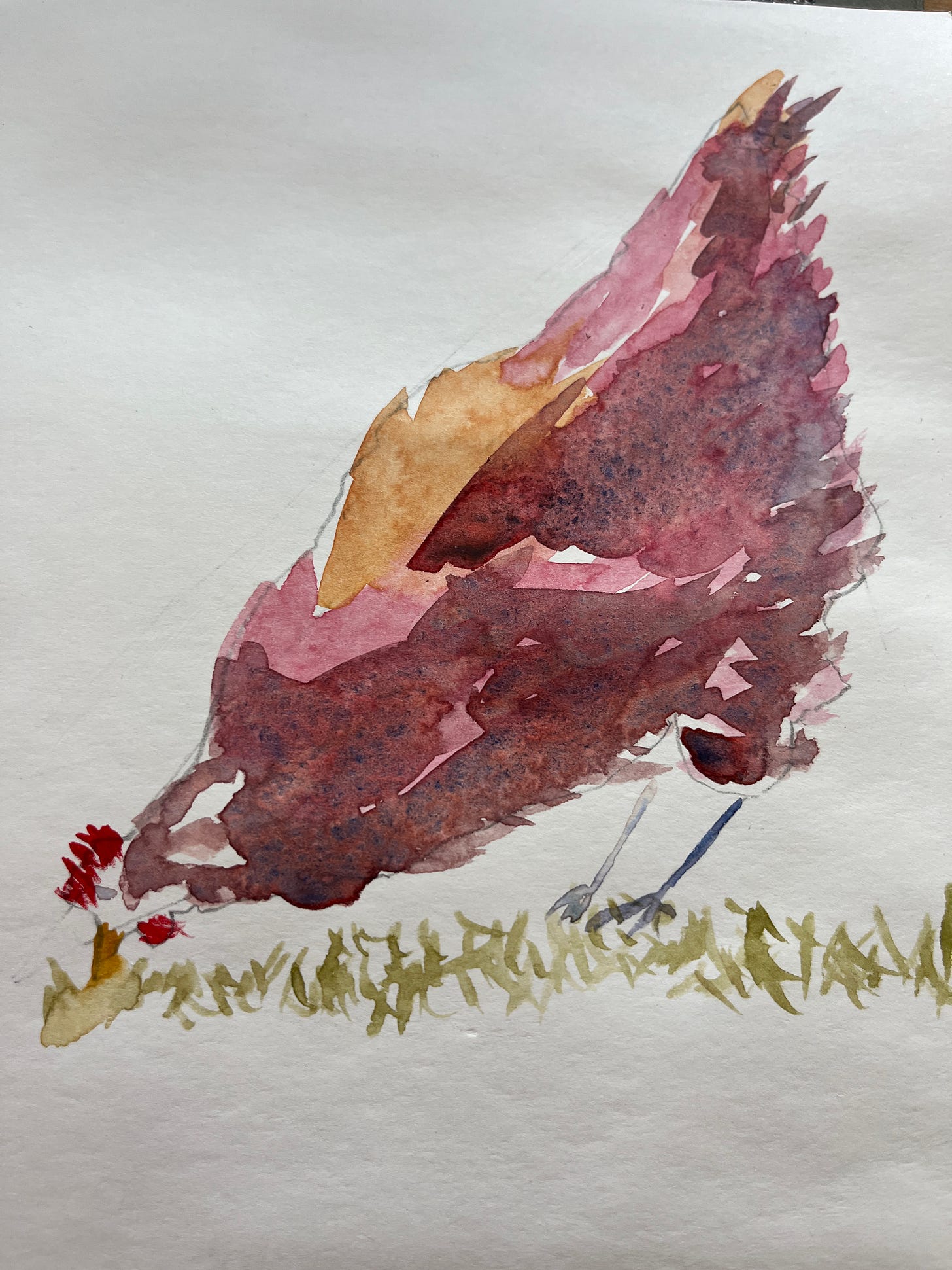 Watercolor painting of a chicken in muted reds and browns, bent over pecking at some grass