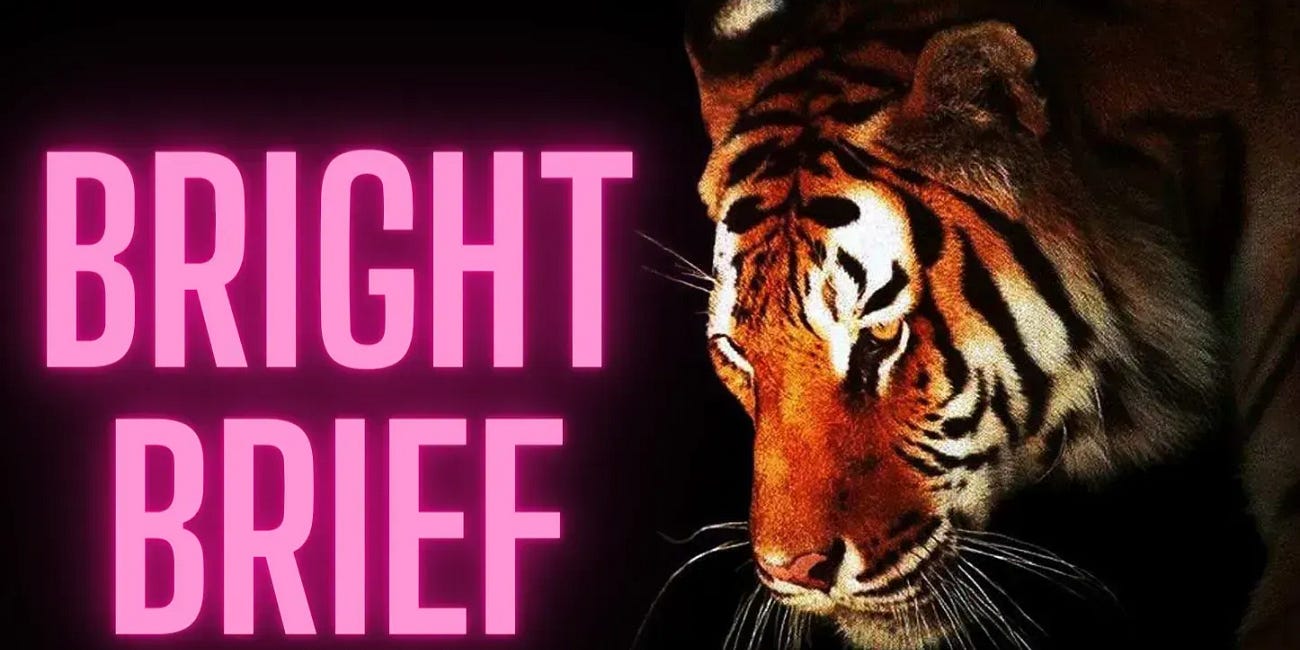 Bright Brief - The Prime Mover