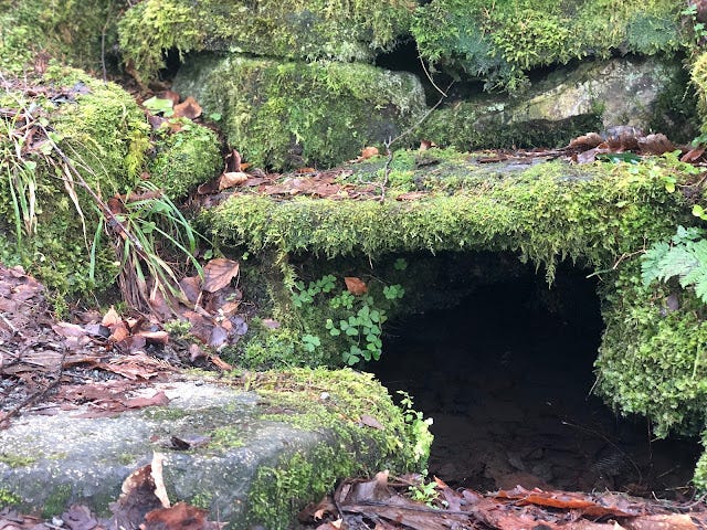 IMG_2231.jpg IMG_2231.jpg