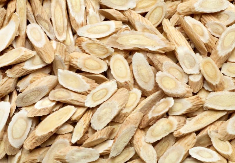 Astragalus (Huang Qi) Astragalus (Huang Qi)