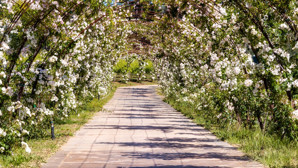 Nature trails allow winery visitors to get a unique taste of the terroir