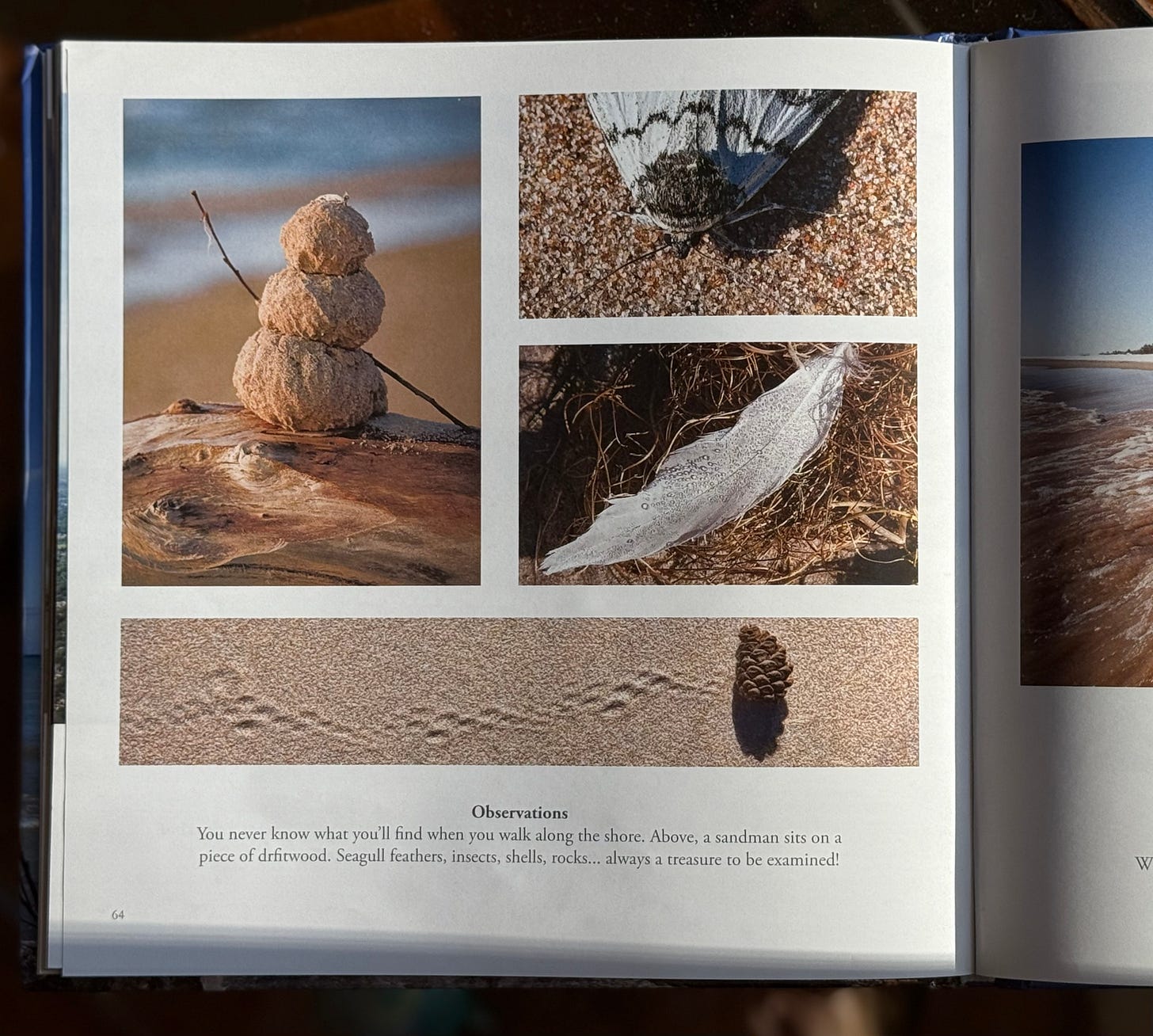 picture of Lake Michigan: The Wisconsin Shore a book of photography and the page with a typo