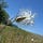 Epistemic Stewardship