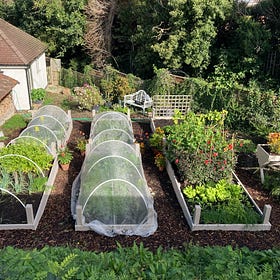 Cornerstones of my Kitchen Garden No.4