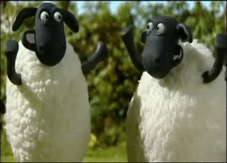 https://media.giphy.com/media/z5Rwj7izcMc3S/giphy.gif