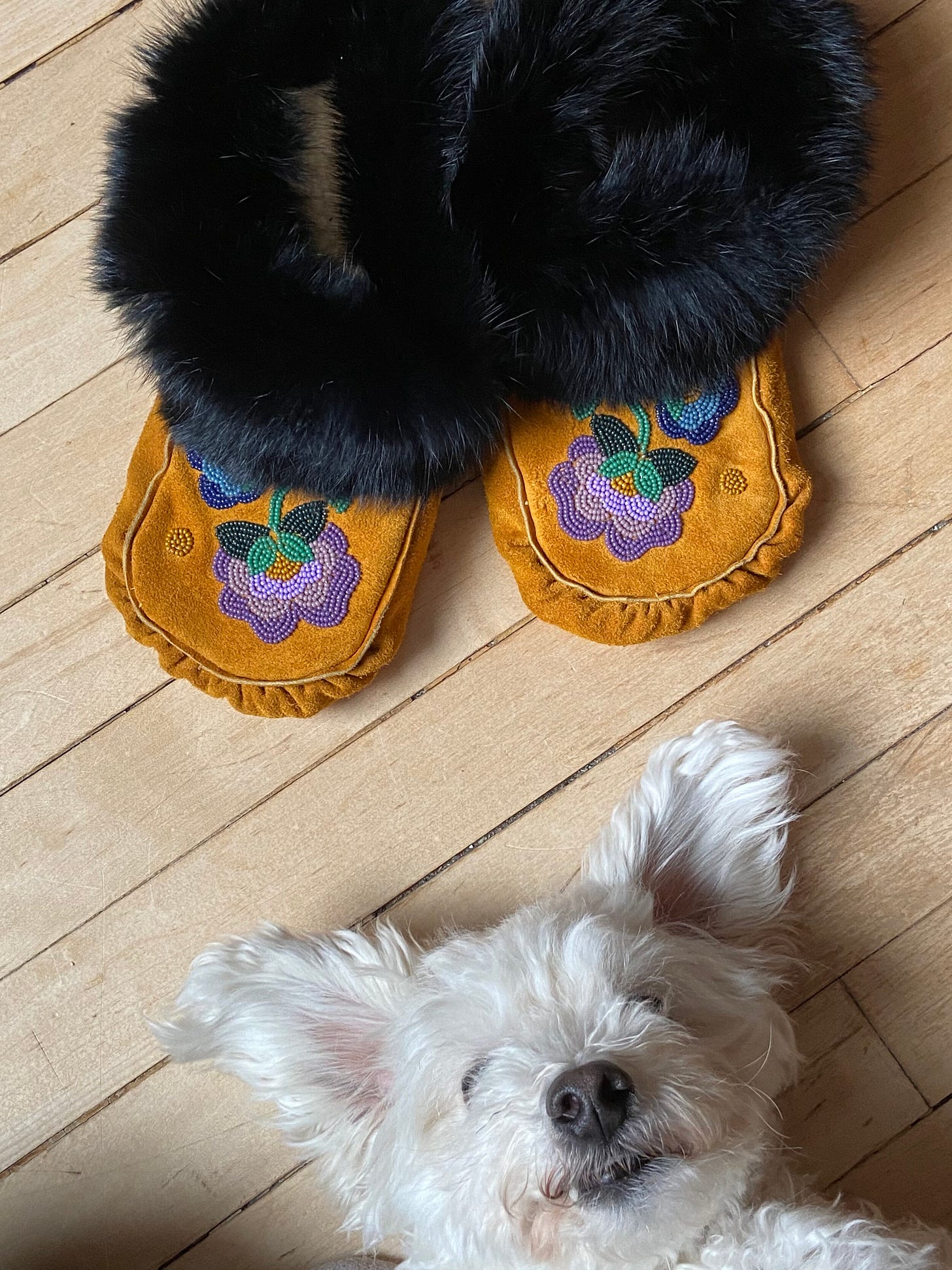 IMG_3102.JPG IMG_3102.JPG