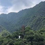 Music To Watch Seeds Grow By