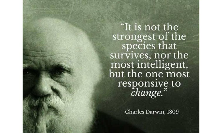 Building a business and the survival of the fittest.