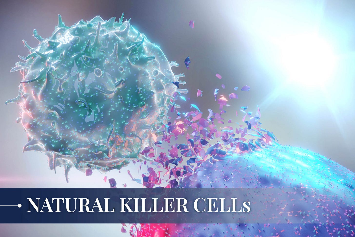 Natural Killer Cells (NK Cells) - Novavida