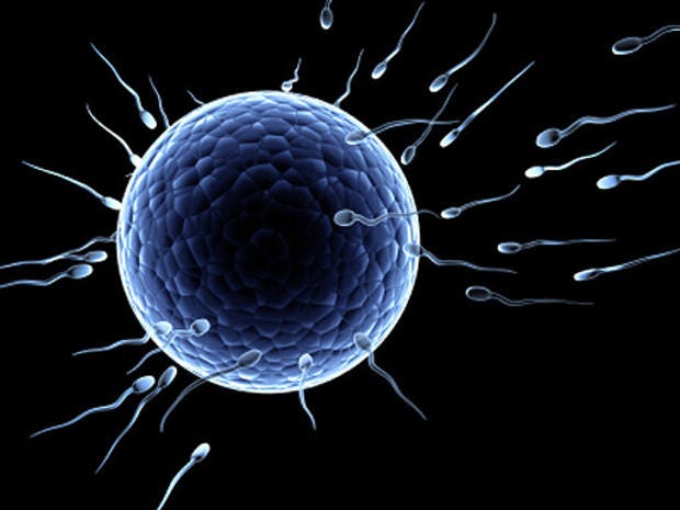 sperm_5.jpg sperm_5.jpg