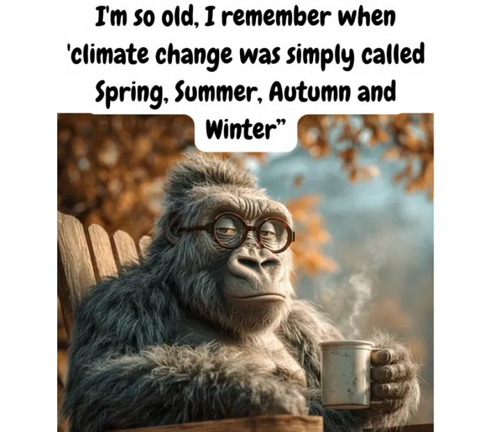 Day Brighteners (or not)