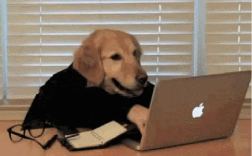 Dog typing on a laptop Dog typing on a laptop