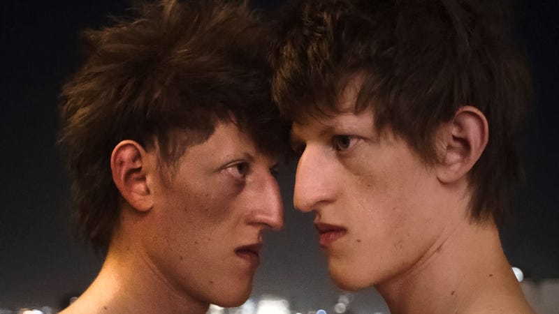 La timidezza delle chiome - Film (2022) - MYmovies.it