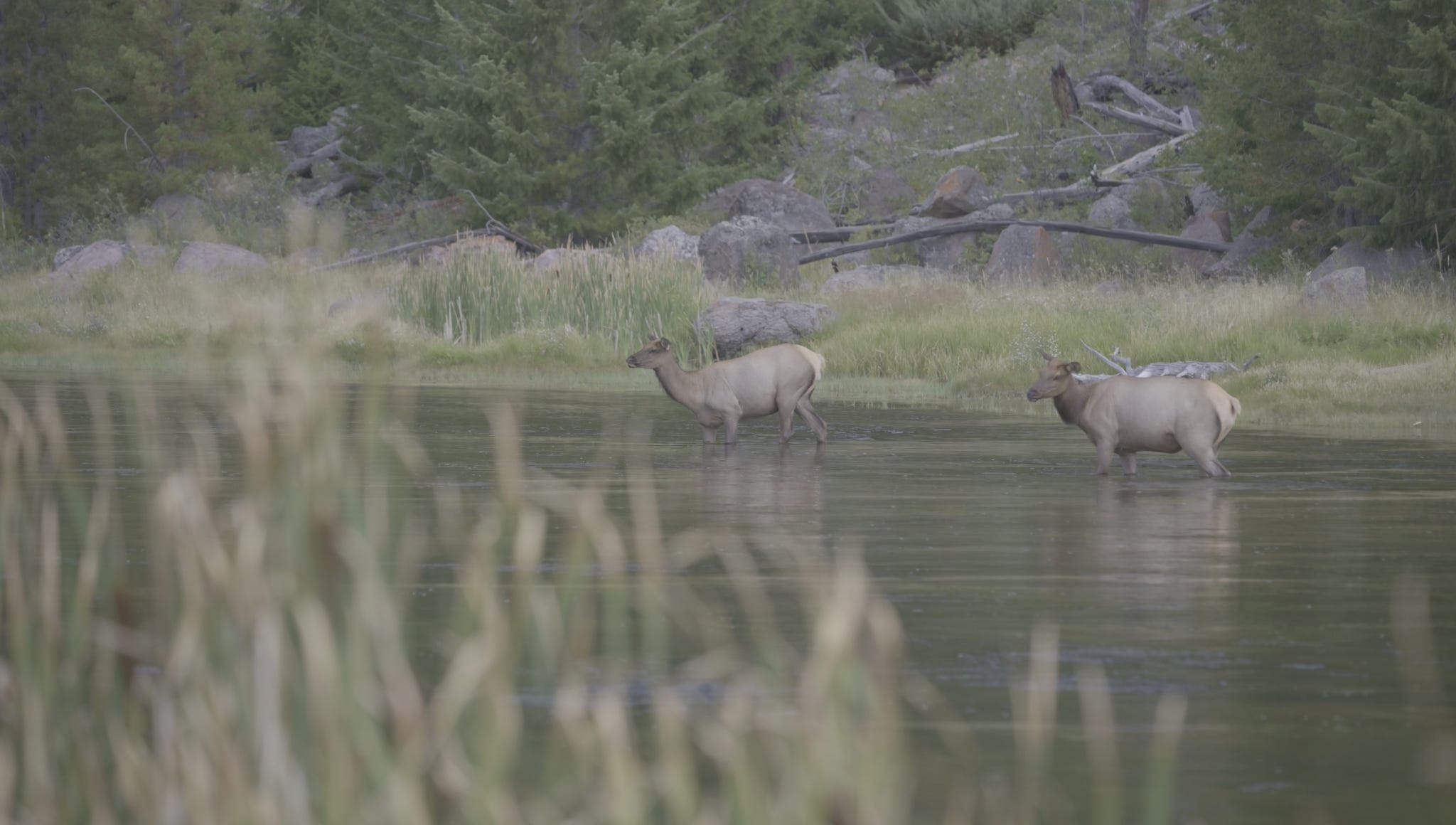 First thoughts on Montana, Eaton Farm & Ranch, and what I went West to find