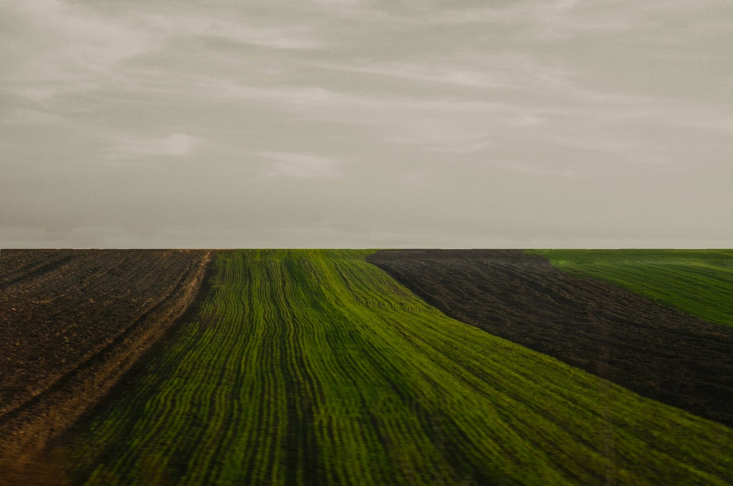 Image of farm land. Credit: Unsplash image: Viktor Talasuch