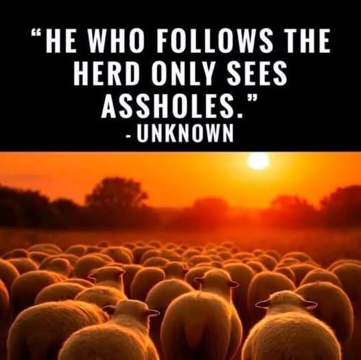 May be an image of text that says '"HE WHO FOLLOWS THE HERD ONLY SEES ASSHOLES." -UNKNOWN'