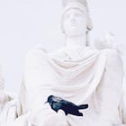 The Healer and the White Raven