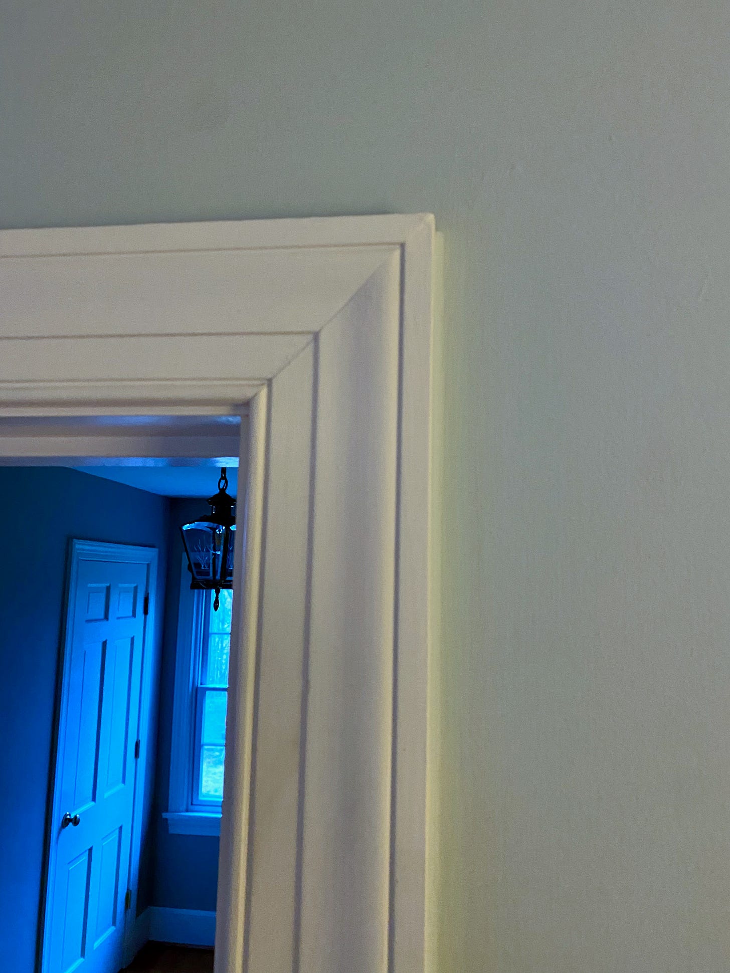 Door trim