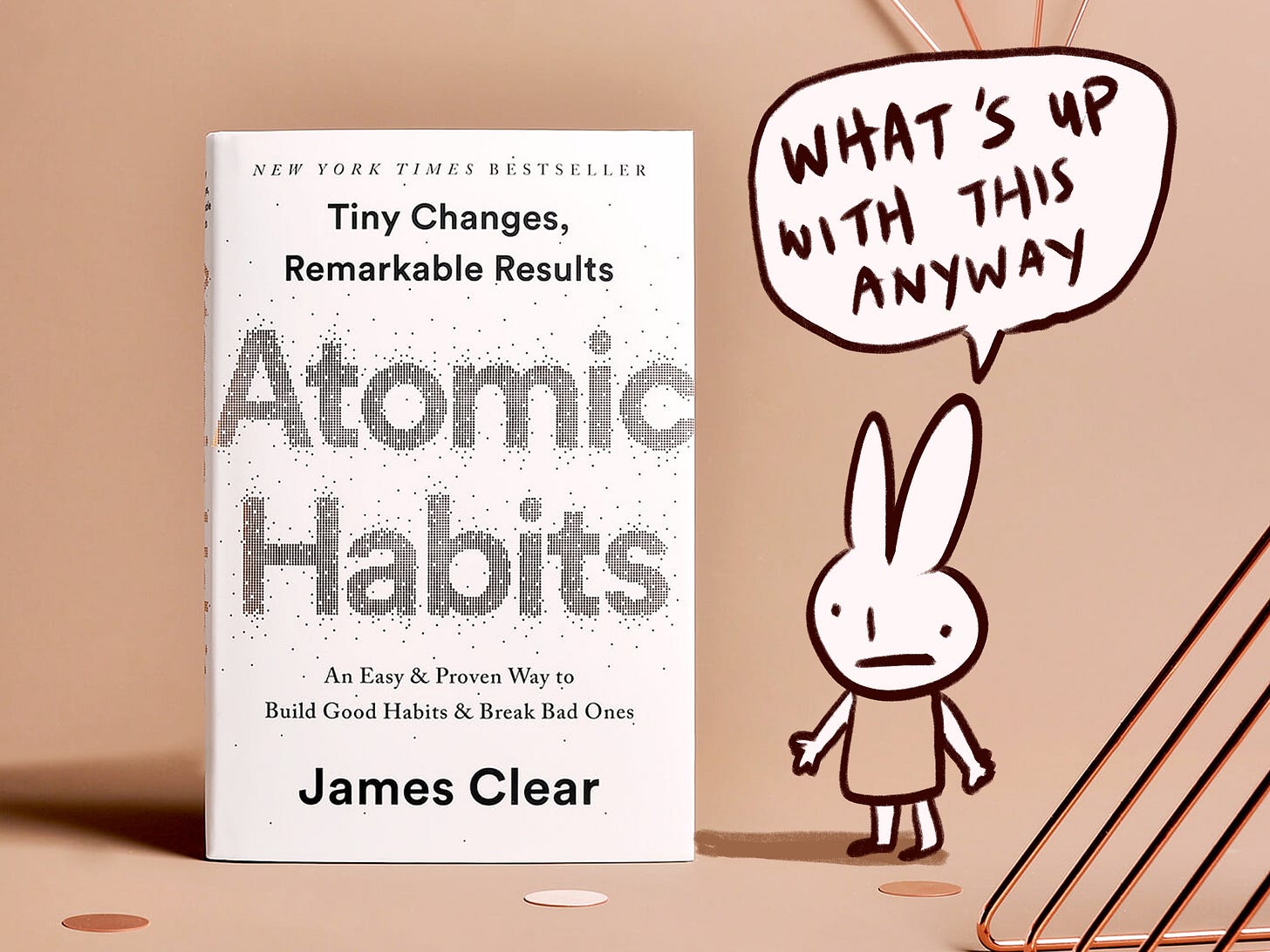 rabbit looks at atomic habits book and says what's up with this anyway rabbit looks at atomic habits book and says what's up with this anyway