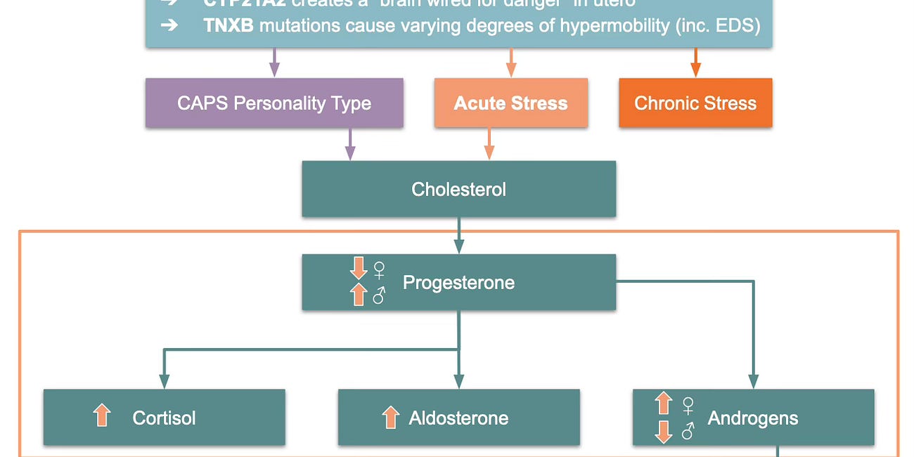 RCCX Pathophysiology