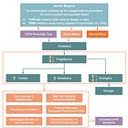 RCCX Pathophysiology