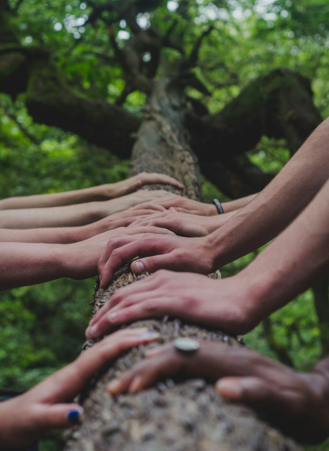 a group of people holding hands on top of a tree a group of people holding hands on top of a tree