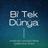 Bi' Tek Dünya