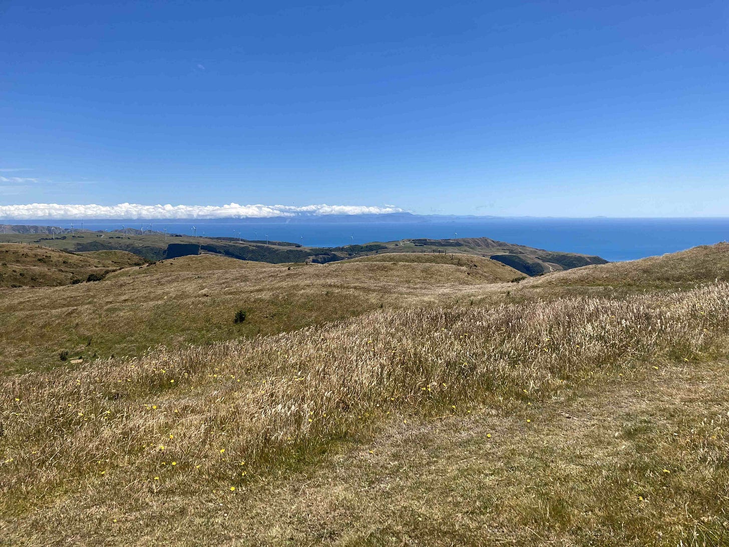 Golden grass in the foreground, a blue sea, distant islands, cloud and a blue sky