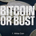 Narativ with Zev Shalev