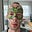 IWillAchieveIt's avatar