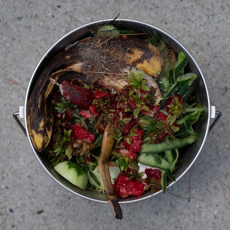 Triptych: Three compost buckets, two have strawberry tops and other stuff. The middle one has a banana peel and greens.