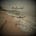 Driftwood and Grace