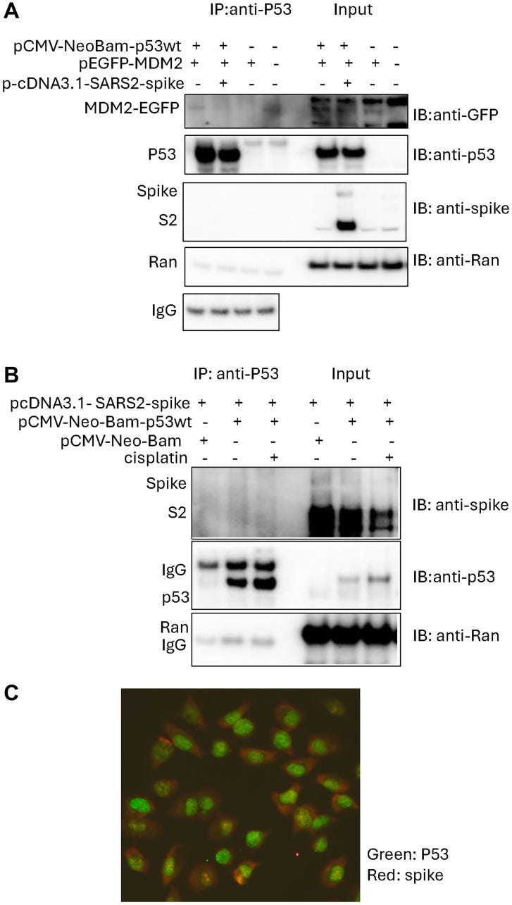 Figure 1 Figure 1
