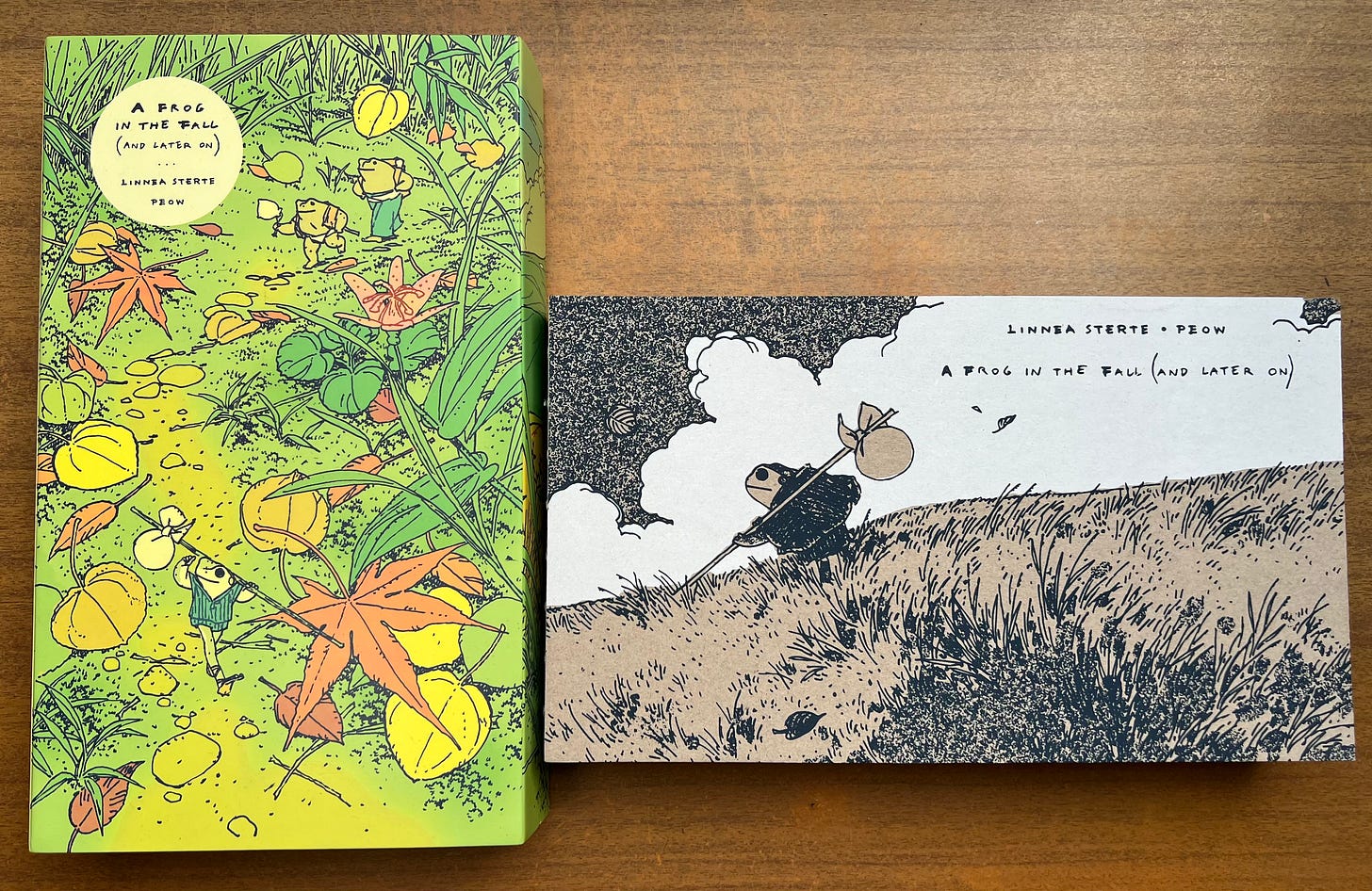 A Frog in the Fall (and later on) by Linnea Sterte - a review