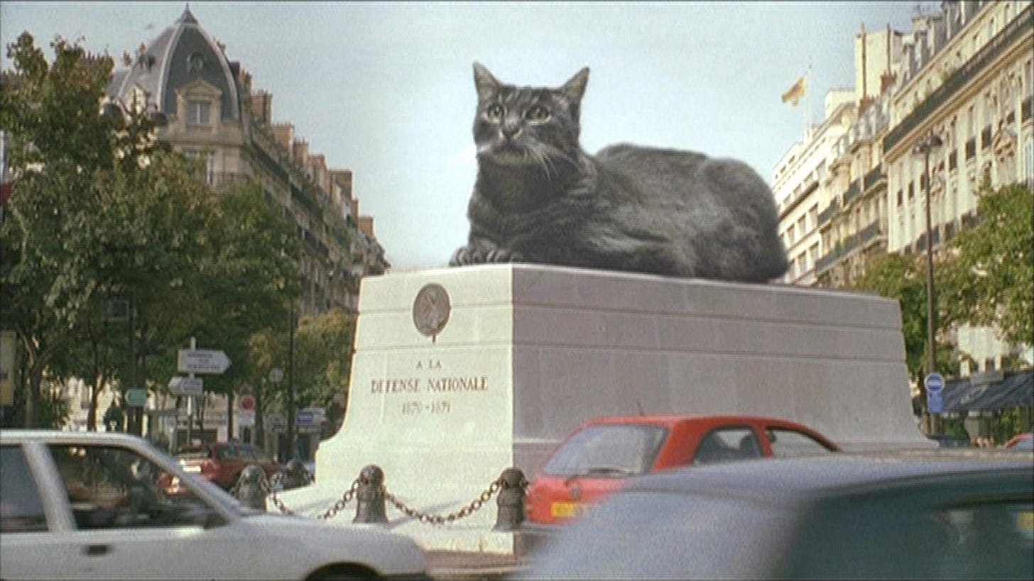 Le Lion volatil – D'A