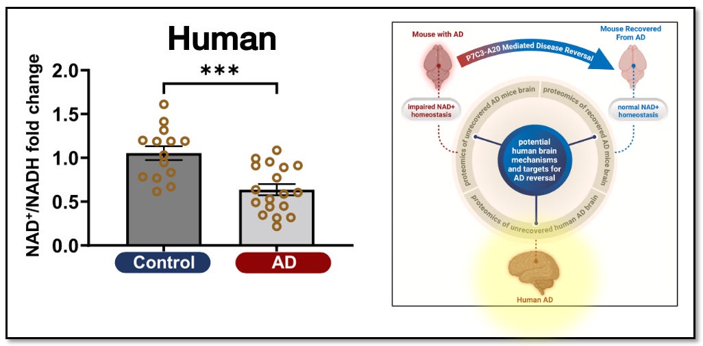 A diagram of a human model
AI-generated content may be incorrect. A diagram of a human model
AI-generated content may be incorrect.