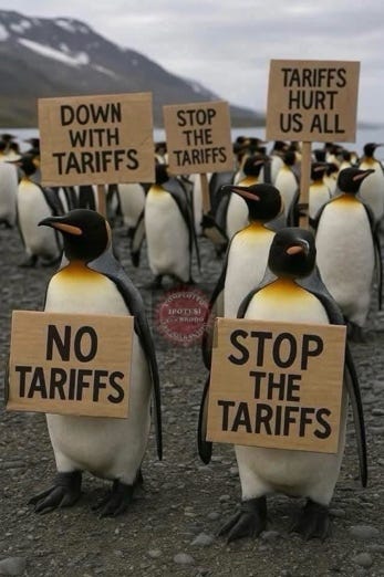 Penguins with signs on their shoulders

AI-generated content may be incorrect.