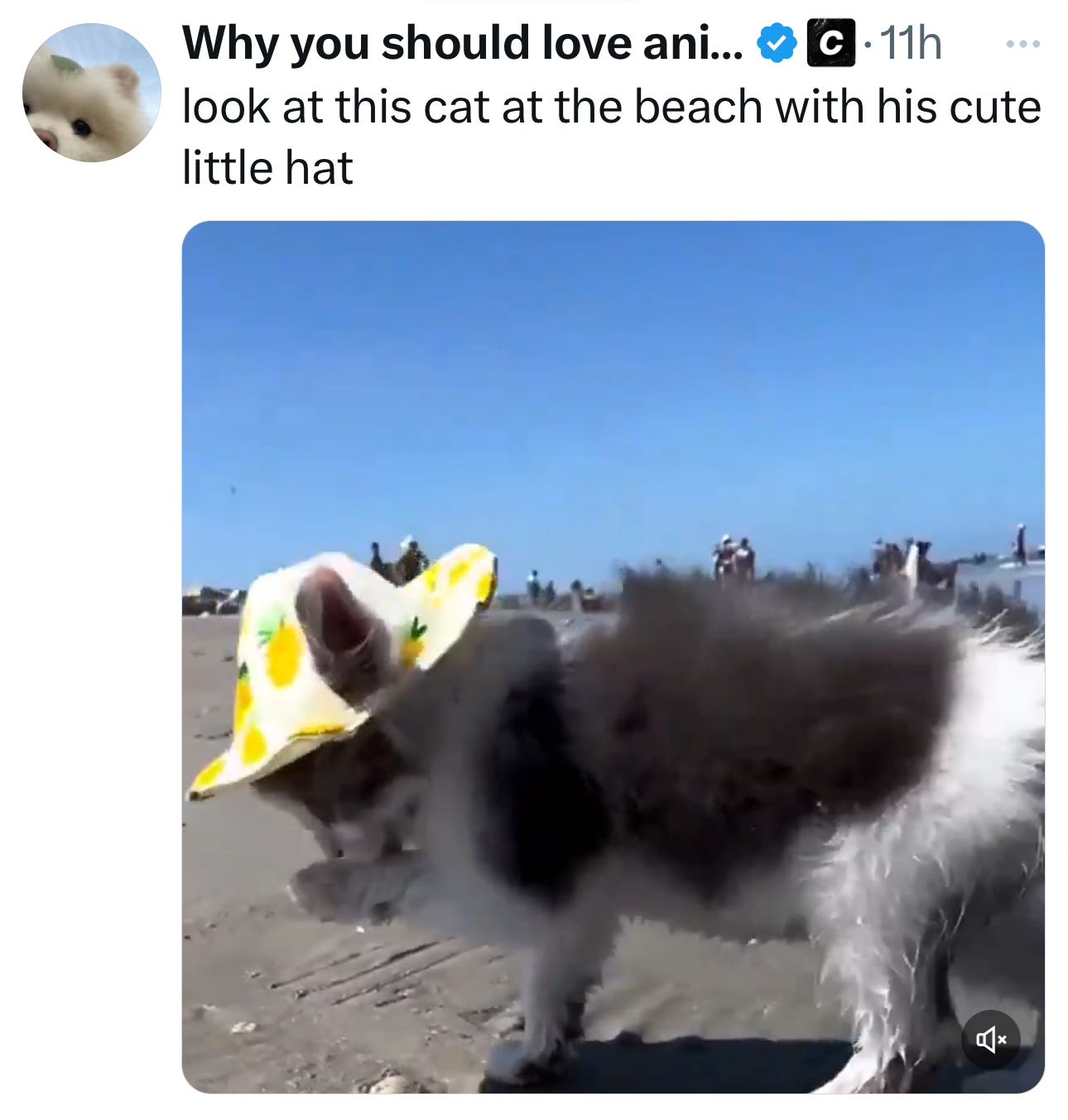 Image.heic Image.heic