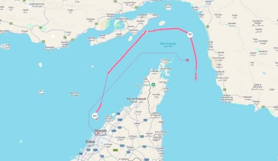 NINTCHDBPICT001073445903