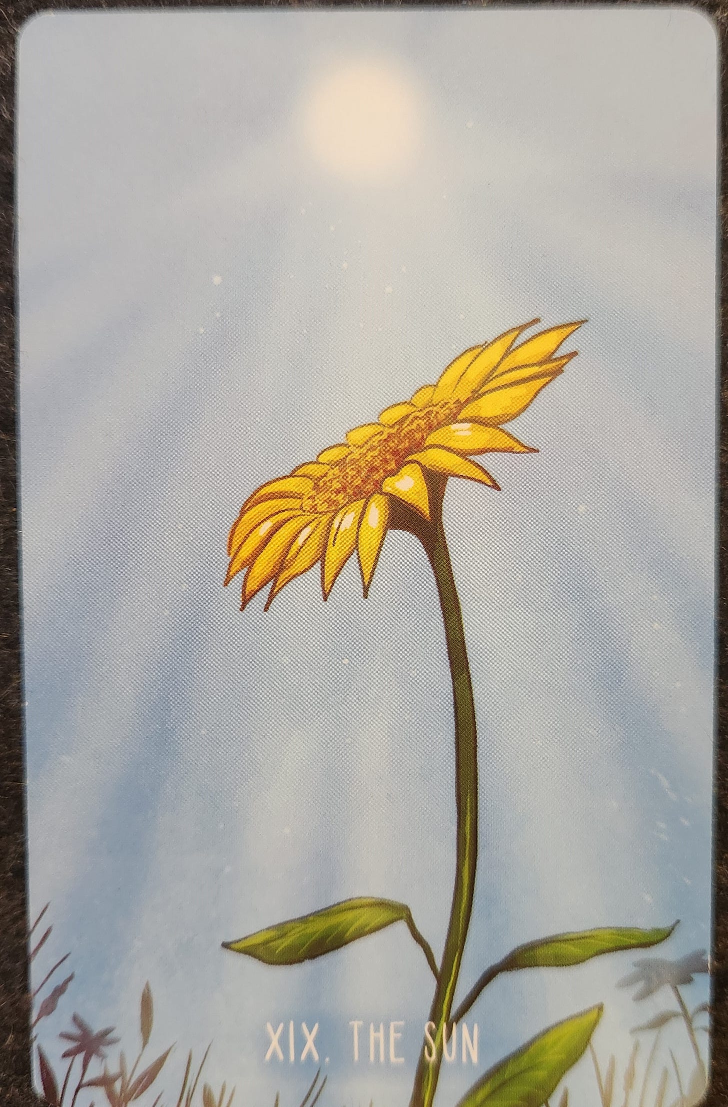 A tarot card labelled XIX. The Sun. A large sunflower is tilted towards a bright sun in the sky above.