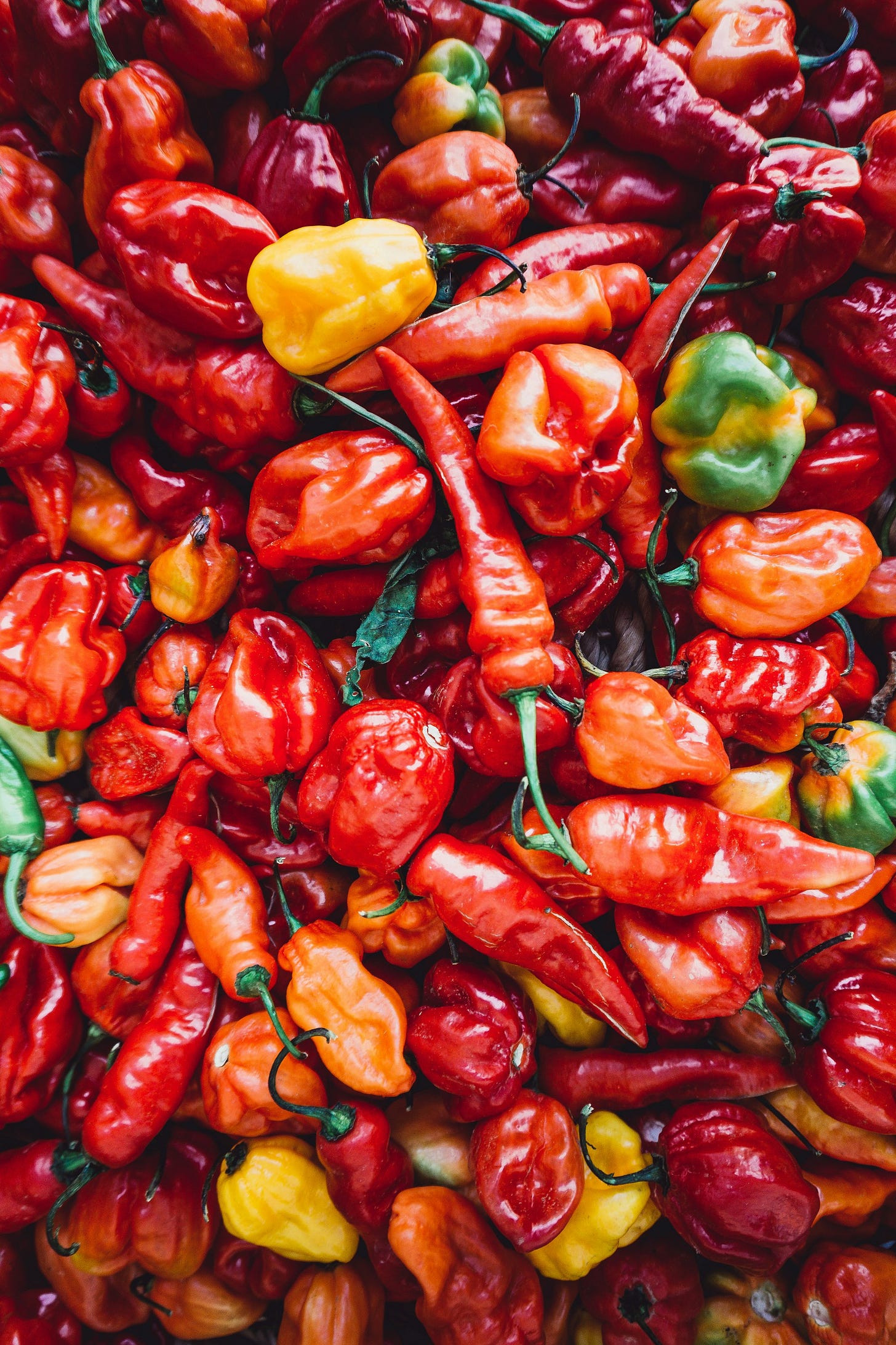 Pepper Basket
Pepper Basket