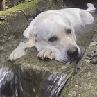 Missouri Rich Folk Peeps In Trouble! Tabs, Mon., June 24, 2024